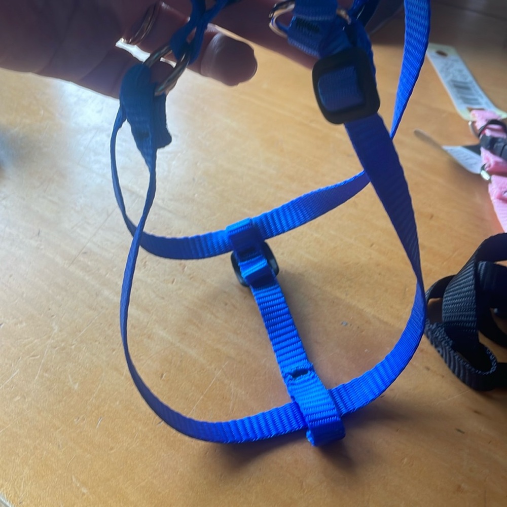 Lupine Step-In Harness 1/2in 12”-18”